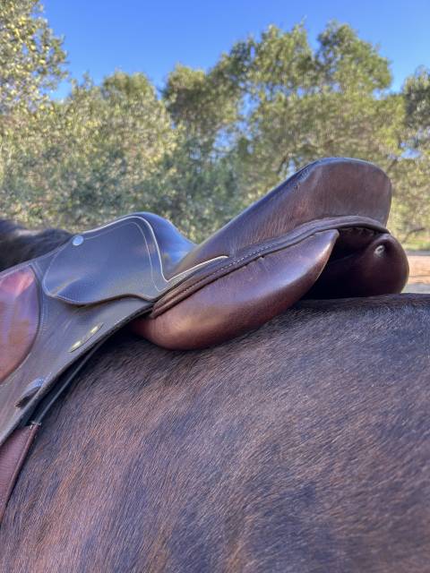 Sella mista  Éric Mondange 17" - 1995