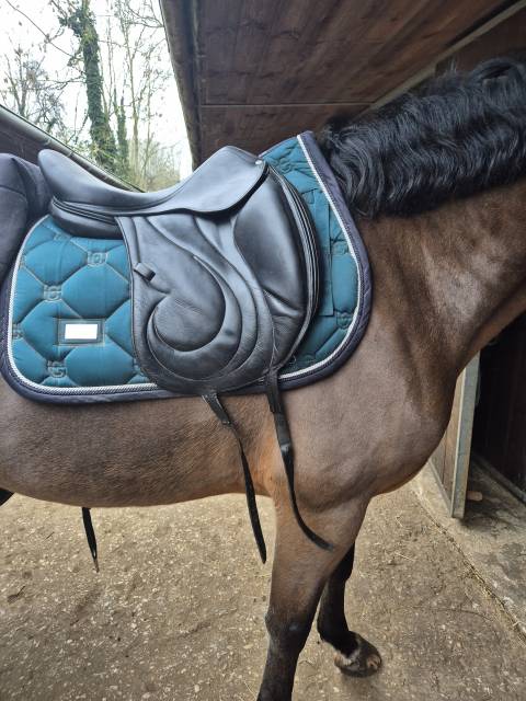 Sella da dressage Antar&egrave;s  17" - 2020