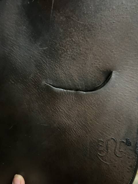 Sella da salto ostacoli  Bruno delgrange  17" - 2009