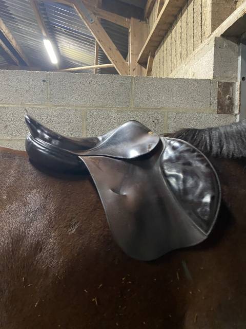 Sella da salto ostacoli  Bruno delgrange  17" - 2009