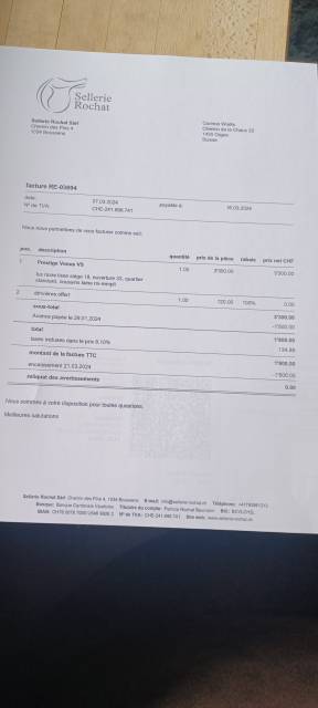 Sella mista Prestige Italia  18" - 2024