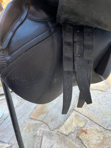 Sella da salto ostacoli CWD  17" - 2015