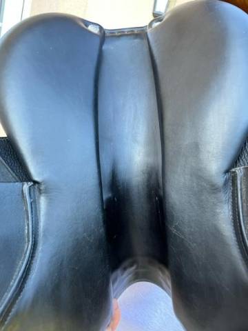 Sella da salto ostacoli CWD  17" - 2015