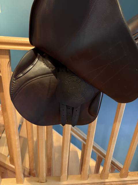 Sella da salto ostacoli  CSO butet 17.5" - 2021