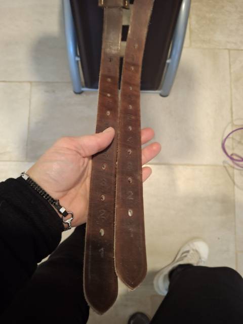 Altra sella Ikonic Horseball évolution  17.5" - 2023