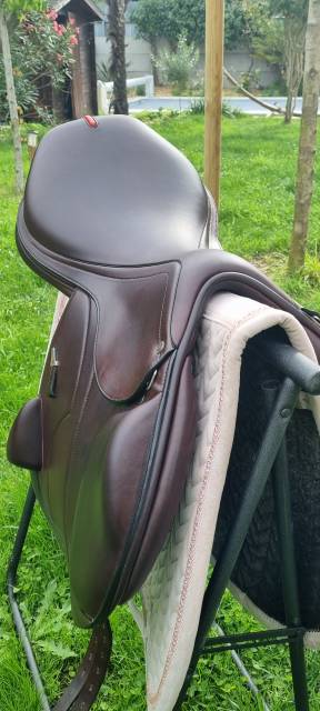 Sella da salto ostacoli Equipe  17.5" - 2024