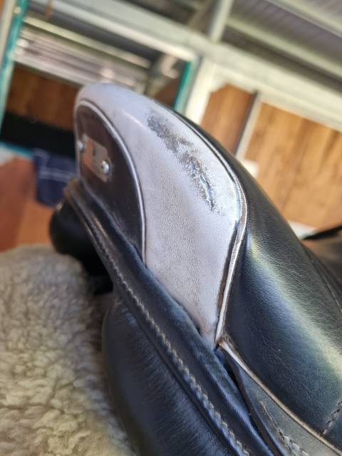 Sella da salto ostacoli Zaldi  17.5" - 2015