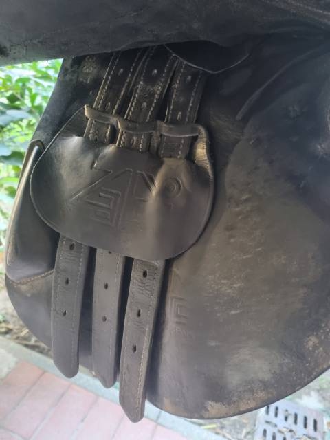 Sella da salto ostacoli Zaldi  17.5" - 2015