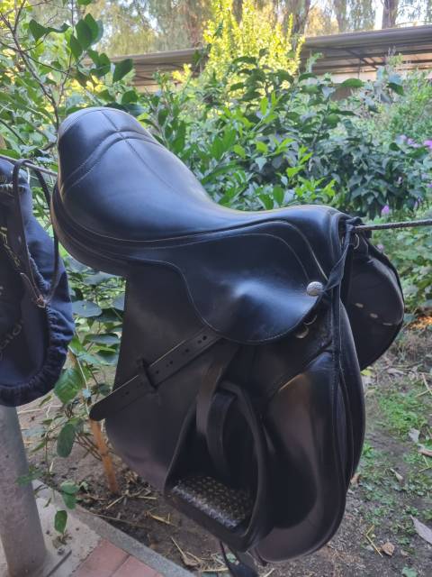 Sella da salto ostacoli Zaldi  17.5" - 2015