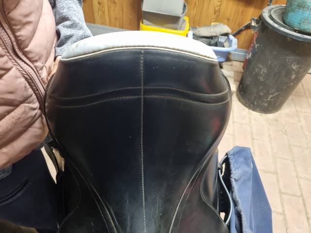 Sella da salto ostacoli Zaldi  17.5" - 2015