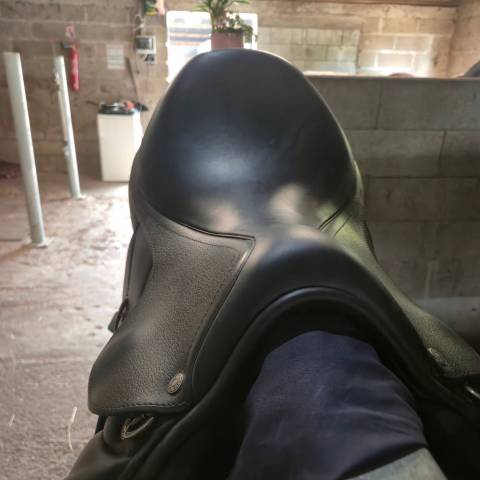 Sella mista Altair  18" - 2023