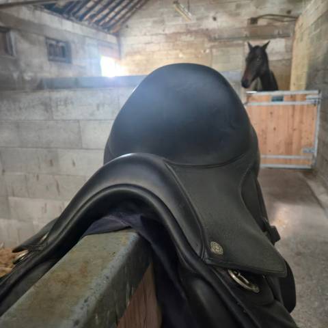 Sella mista Altair  18" - 2023