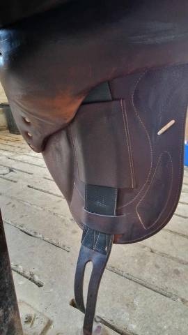 Sella da salto ostacoli Antarès  17.5" - 2019