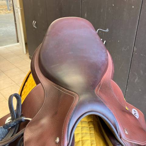 Sella da salto ostacoli Meyer  17.5" - 2022