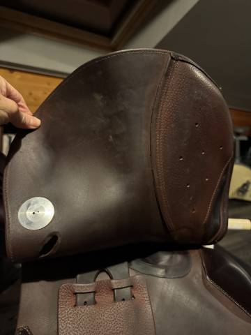 Sella da salto ostacoli Meyer  17.5" - 2022