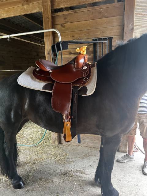 Sella western  Selle West Coast Garland 16" - 2025