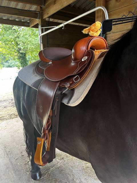 Sella western  Selle West Coast Garland 16" - 2025