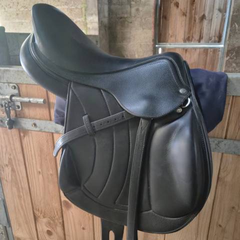 Sella amazzone Antarès  14.5" - 2024