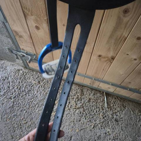 Sella amazzone Antarès  14.5" - 2024