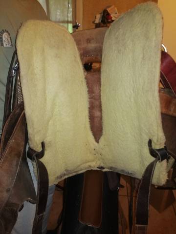 Sella western   16" - 2015