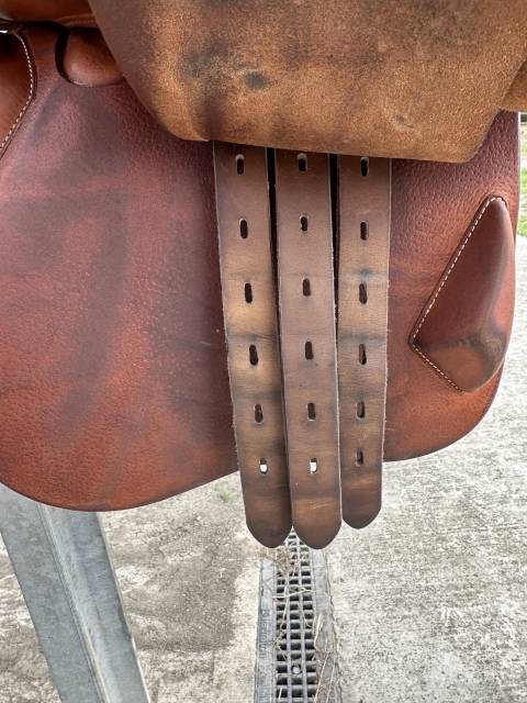 Sella da salto ostacoli Amerigo Octave 17" - 2020