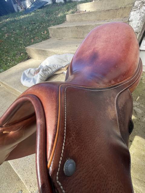 Sella mista Childeric  18" - 2017