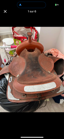 Sella western  Western 16" - 2023