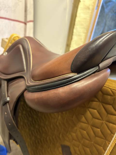 Sella da salto ostacoli CWD  17" - 2019