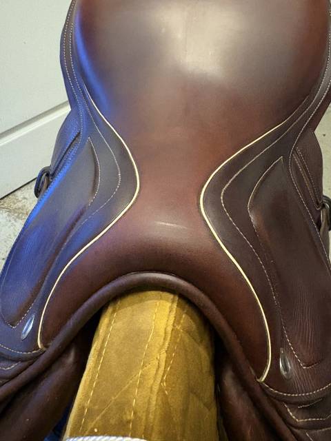 Sella da salto ostacoli CWD  17" - 2019