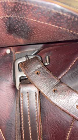 Sella da salto ostacoli CWD  17" - 2019