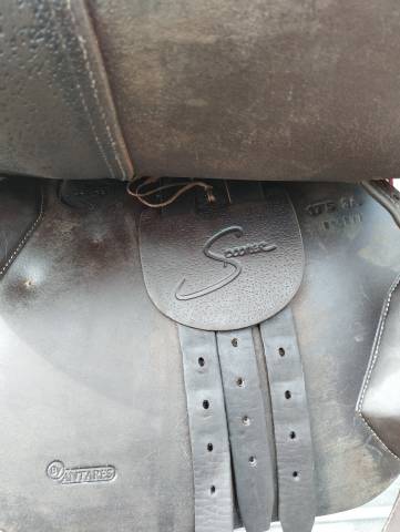 Sella mista Antarès Spooner  17.5" - 2023