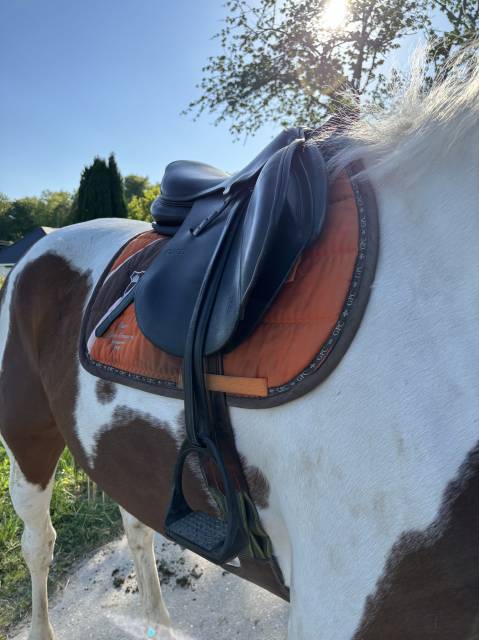 Sella da salto ostacoli Hervé Godignon  17.5" - 2014