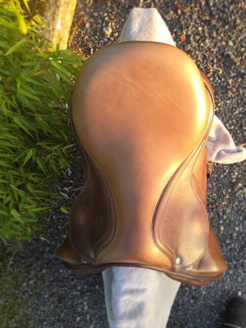 Sella da salto ostacoli Antarès  15.5" - 2022