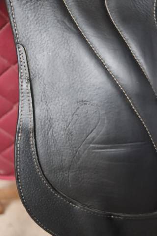 Sella da dressage Antarès  16.5" - 2022