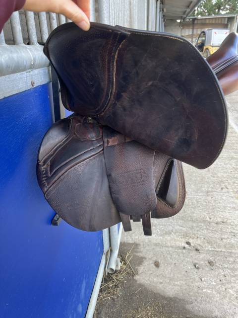 Sella da salto ostacoli CWD  17.5" - 2019