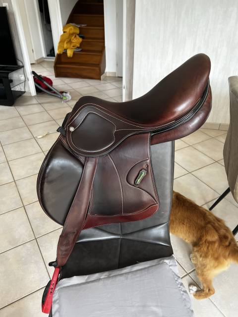 Sella da salto ostacoli Amerigo  17.5" - 2022