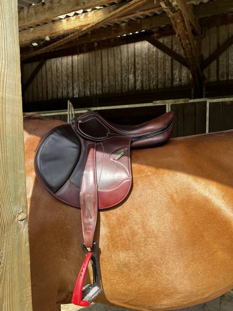 Sella da salto ostacoli Amerigo  17.5" - 2022