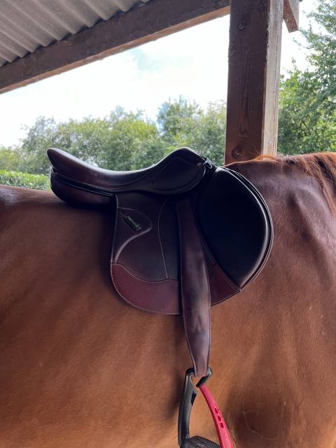 Sella da salto ostacoli Amerigo  17.5" - 2022