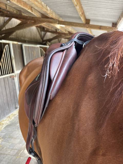 Sella da salto ostacoli Amerigo  17.5" - 2022