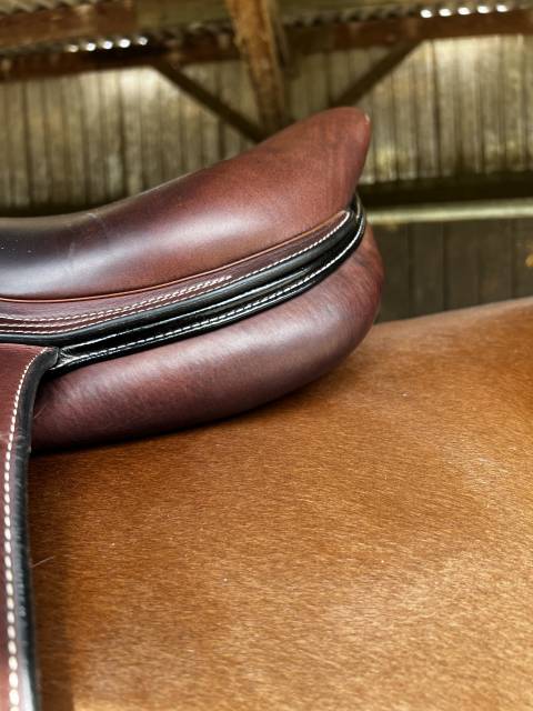 Sella da salto ostacoli Amerigo  17.5" - 2022