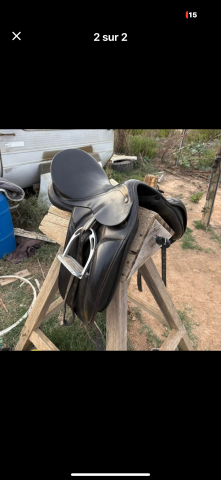 Sella da dressage Prestige Italia  18" - 2018