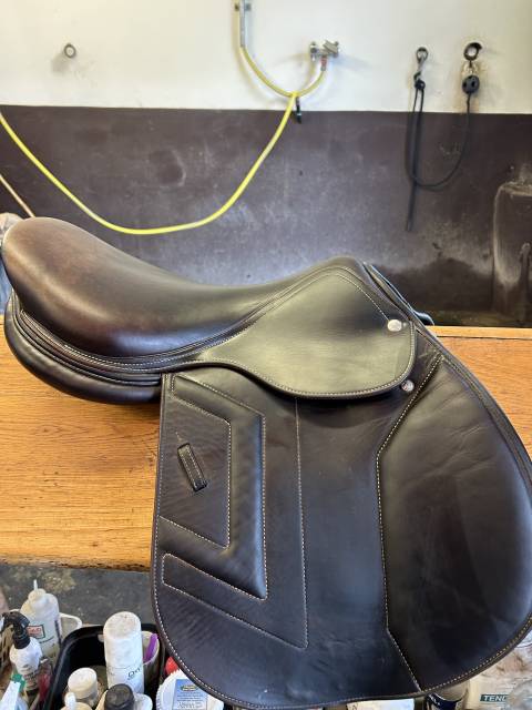 Sella da salto ostacoli Renaissance  17" - 2019