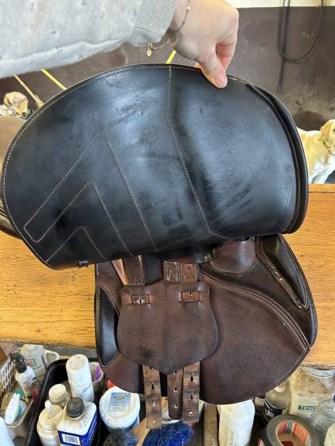 Sella da salto ostacoli Renaissance  17" - 2019