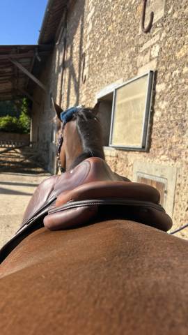 Sella da salto ostacoli Renaissance F 18" - 2021