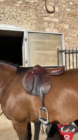 Sella da salto ostacoli Renaissance F 18" - 2021