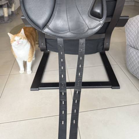 Sella mista Equipe  17.5" - 2021