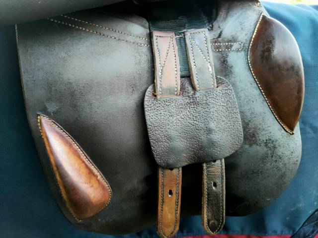 Sella Junior / Sella Pony  cso 16.5" - 2016