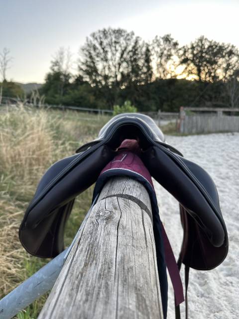 Sella mista Forestier  17.5" - 2021