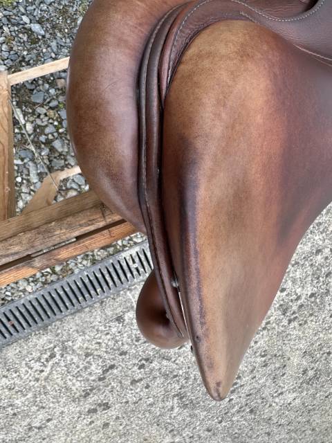 Sella da salto ostacoli Meyer  16.5" - 2020