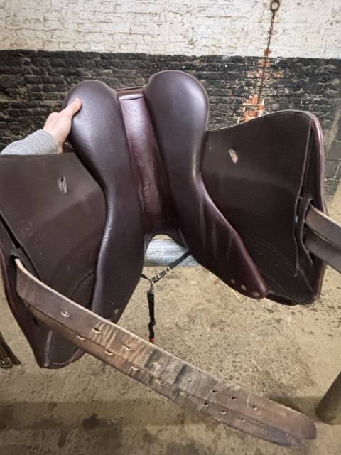 Sella da salto ostacoli Time Rider  16.5" - 2019